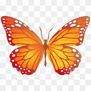 Orange Butterfly Clipart Png Transparent Png