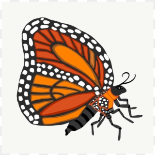 Monarch Butterfly - Illustration Clipart