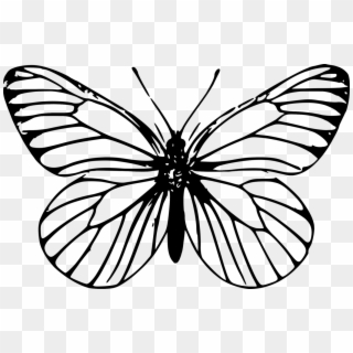 Monarch Butterfly Outline Drawing Template - Butterfly Outline Clipart