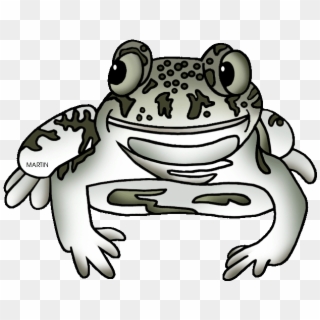 Toad Clipart Amphibian - Eastern Spadefoot - Png Download