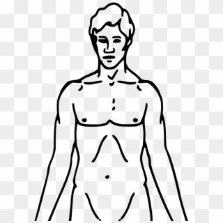 Pioneer Plaque Man Upper Body As Diagram Template - - Line Drawing Man Clipart
