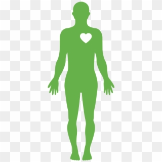 Body - Human Body Water Png Clipart