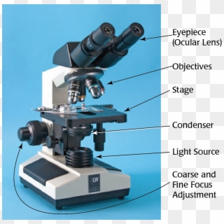 Labeled Microscope - Microscope Instrument Clipart
