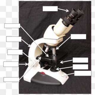 Label The Microscope Diagram - Robot Clipart