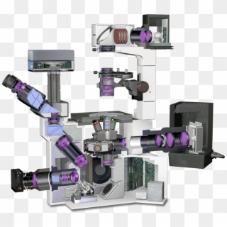 Olympus Ix70 Microscope Lightpath - Inverted Microscope Optical Path Clipart