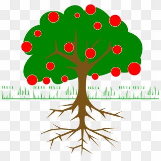 Trees With Fruits Drawing Clipart