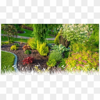 Overplanting Clipart