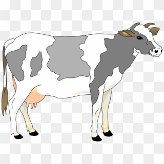 Cow 3 Small Clipart 300pixel Size, Free Design - Grey And White Cow - Png Download