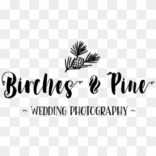 Birches And Pine Photography Logo - Calligraphy Clipart