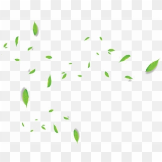 Falling Green Leaves Png Transparent Image - Insect Clipart