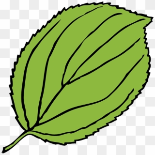 Winsome Design Jungle Leaves Clipart Nice Border Clip - Leaf Clip Art - Png Download