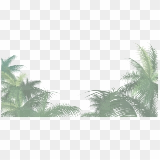 Scroll Down Ménagerie By Night - Palm Tree Png Clipart