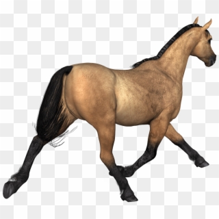 Animals - Horse Brown Png Clipart