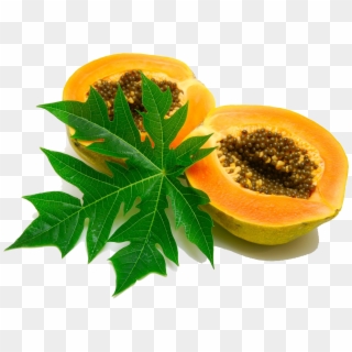 Papaya Png Image - Papaya A Medicinal Plant Clipart