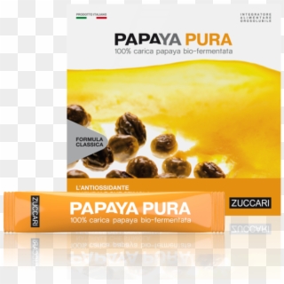 Papaya Pura 1 - Papaya Zuccari Clipart
