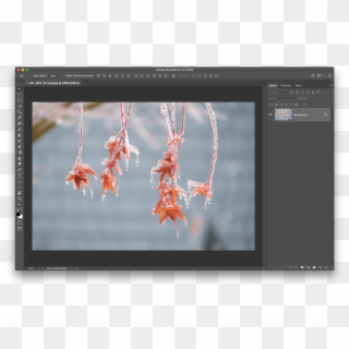 Open Any Photo Into Photoshop - Adobe Photoshop Clipart
