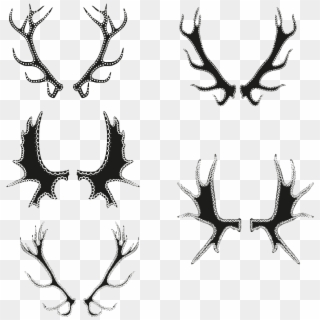 Antler Vector - Drawing Clipart