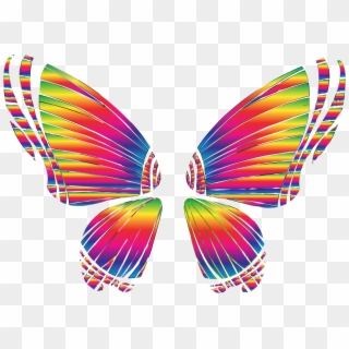 Rgb Butterfly Silhouette 10 8 No Background Bclipart - Butterfly Wings Transparent Background - Png Download