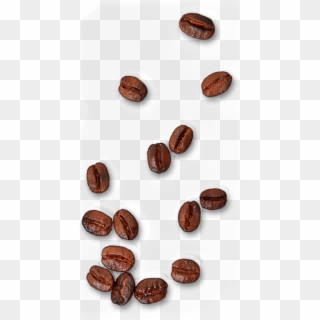 Single Coffee Bean Png - Coffee Beans Top Png Clipart