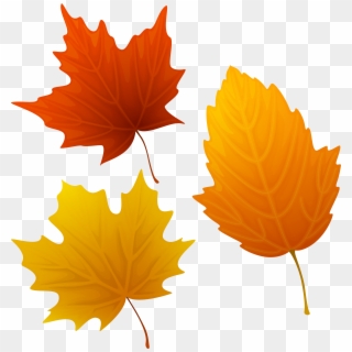 Set Of Autumn Leaves Png Image Clip Ⓒ - Autumn Leaves Clipart Transparent Png