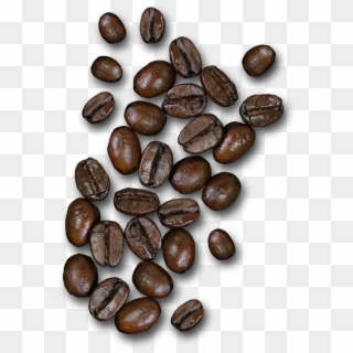 Coffee Of The Month - Seed Clipart