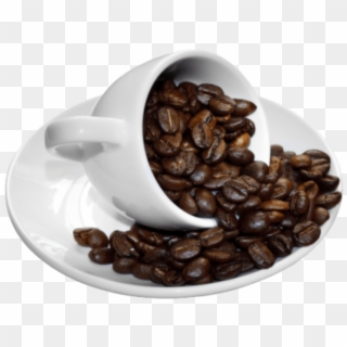 Free Png Download Coffee Beans Cup Png Images Background - Coffee Bean And Coffee Png Clipart