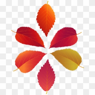 Set Of Fall Leaves Png Clip Art Transparent Png