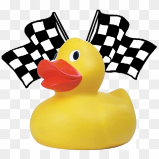Adopt A Duck For The Family Center » Ducks - Checkered Flag Clipart