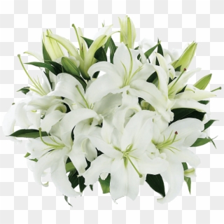 Tight Bouquet Of Lilies - Bf178 11km Clipart