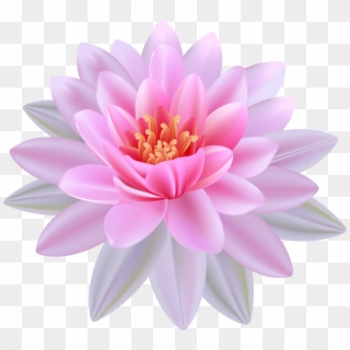Pink Water Lily Png Clipart Image - Water Lily Flower Clipart Transparent Png