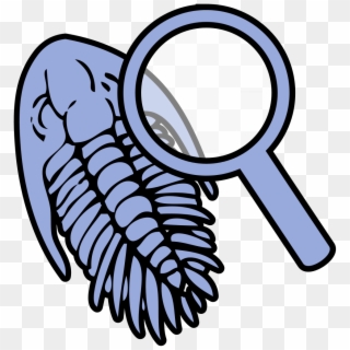 Trilobite Under Magnifying Glass Icon - Fossil Clip Art - Png Download