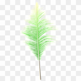 Fantasy Transparent Feather Png - Grass Clipart