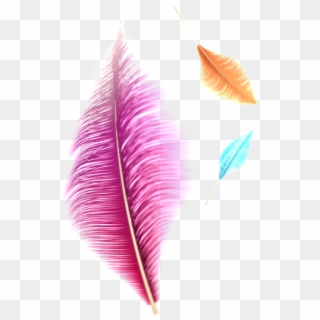 Fantasy Transparent Feather Png - Earrings Clipart