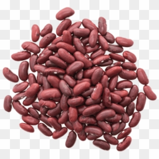 Free Png Download Kidney Beans Png Images Background - Haricot Kidney Clipart