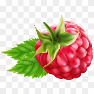 Transparent Background Raspberries Clipart - Png Download