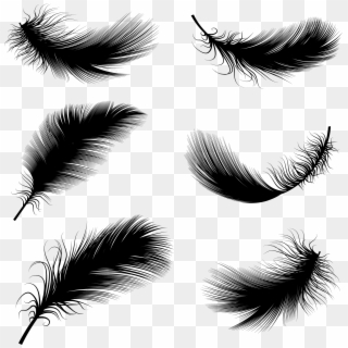 2083 X 2083 18 0 - Floating Feather Drawing Clipart