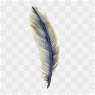 Royalty Free Stock Png Bird Leaf Feathers Falling Image - Macro Photography Clipart