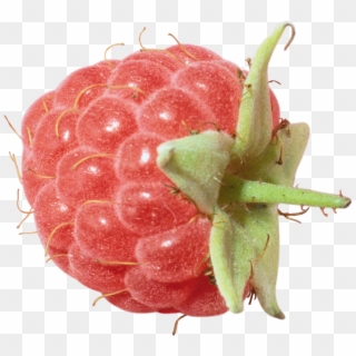 Rraspberry Png Image - Raspberry Clipart
