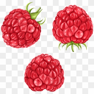 Raspberries Png Clipart Picture - Raspberry Clipart Transparent