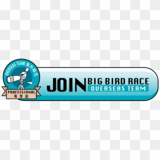 The Big Bird Race - Parallel Clipart