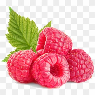 Raspberries - Raspberry Clipart
