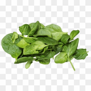 1 Bag - Spinach Clipart