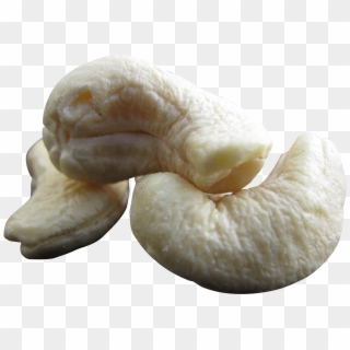 Download Cashew Nut Png Transparent Image - Agaricus Clipart