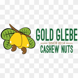 Nut Clipart Cashew - Cashew Nut Clip Art - Png Download