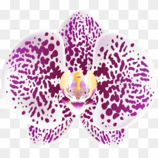 Tropical Orchid Transparent Png Clip Art Image - Moth Orchid
