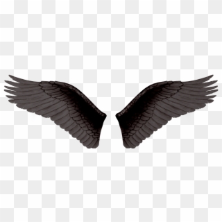 Black Wings - Png Картинки Для Фотошопа Clipart