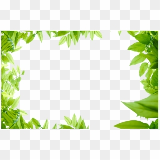 Collection Of Free Leaf Transparent Border Download - Transparent Green Leaves Png Clipart