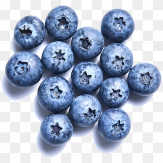 Blueberry-individuallg - Blueberry Clipart