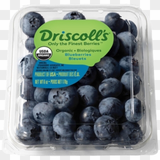 Driscoll's Organic Blueberries - Mora Azul Clipart
