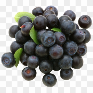 Free Png Blueberries Png Images Transparent - Blueberry Clipart